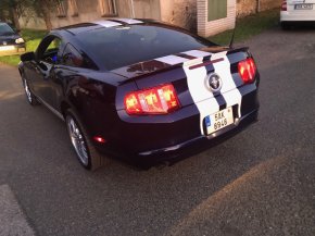 Fotka 59
